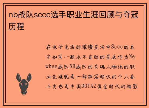 nb战队sccc选手职业生涯回顾与夺冠历程